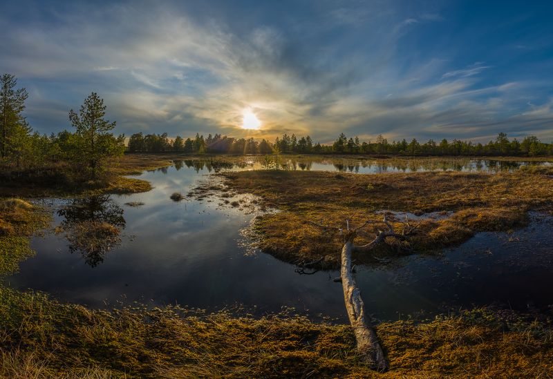 *** фото превью