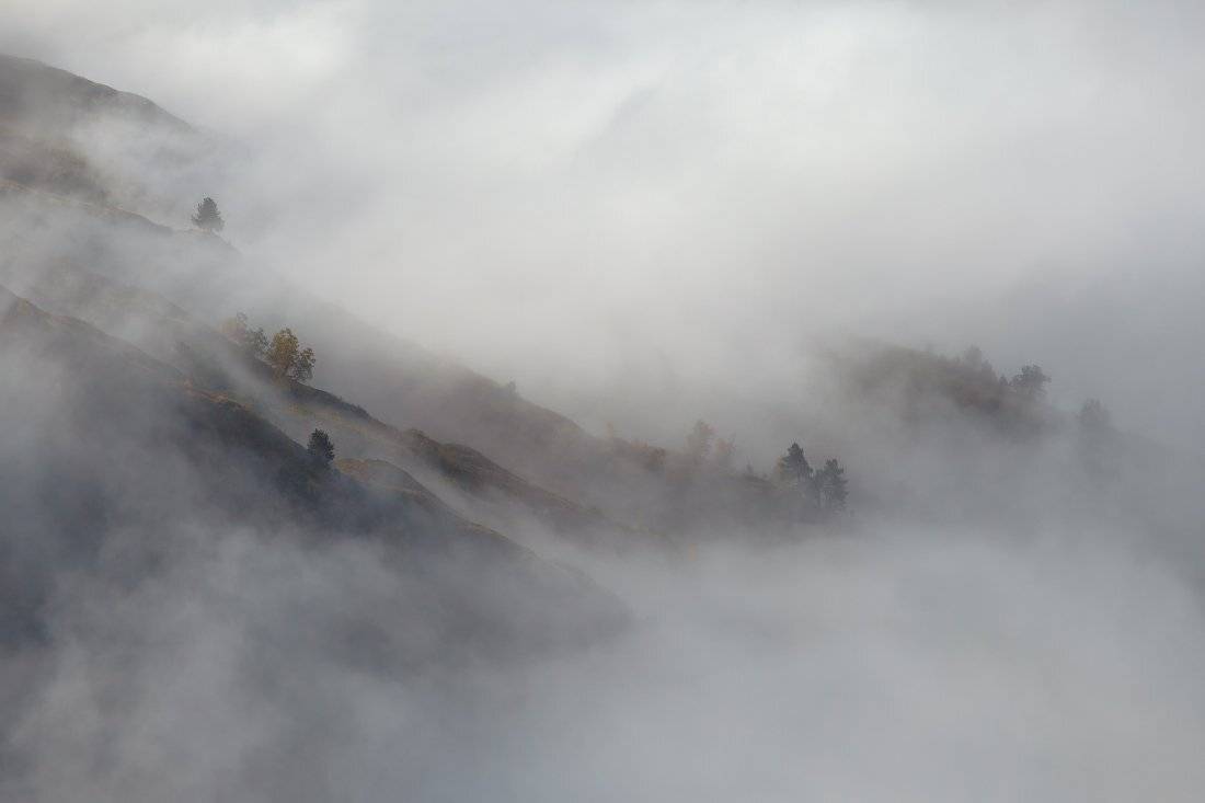 , Ярослав Тюрменко (Jaremi)