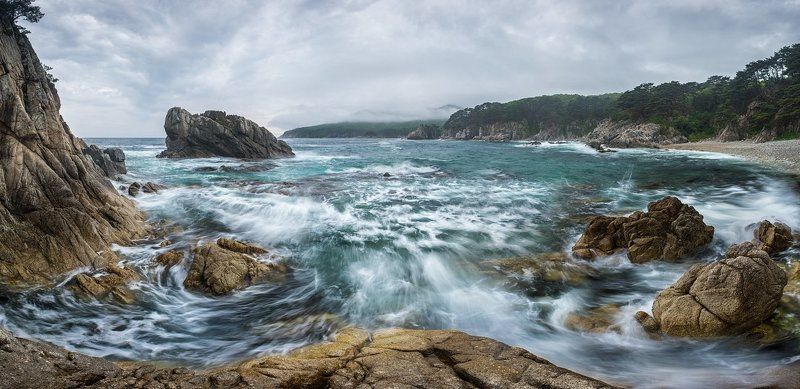 черепаха... фото превью