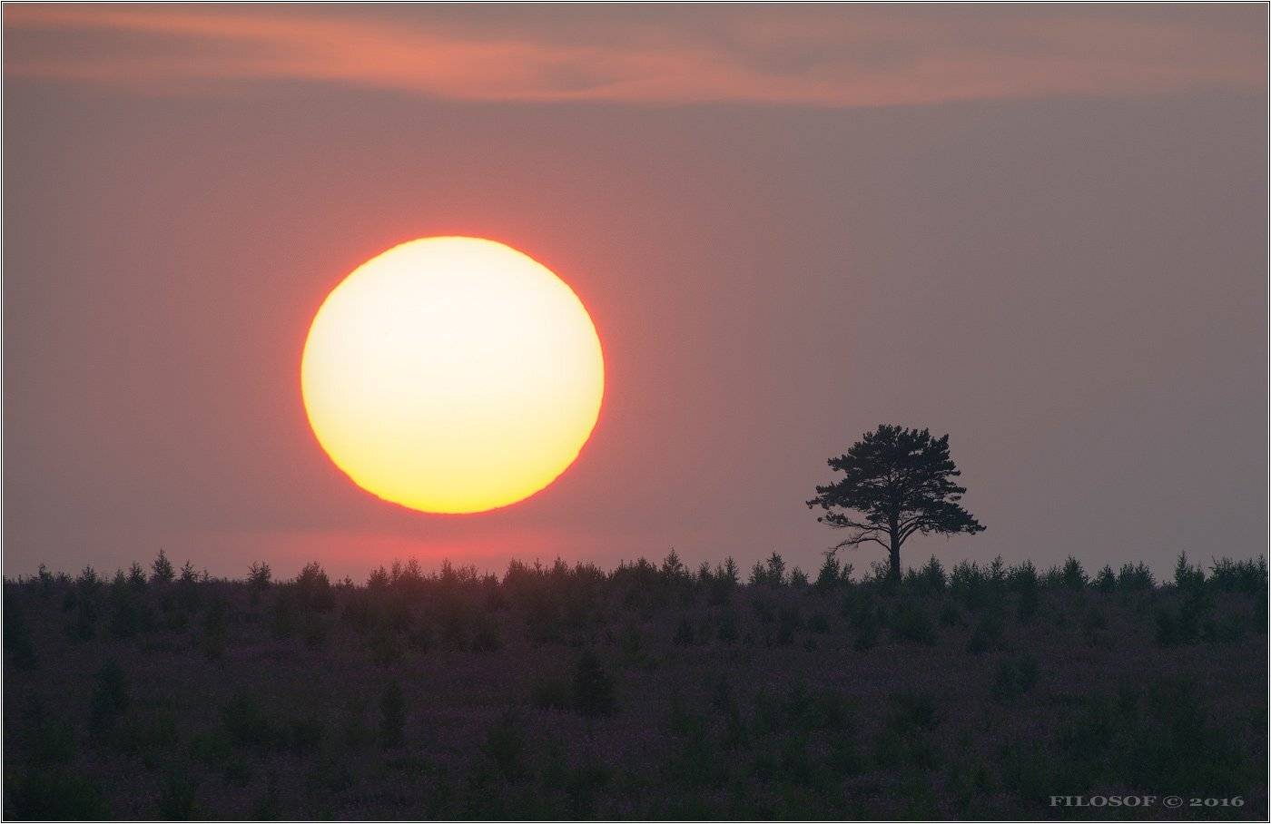 , Геннадий FILOSOF Шатов