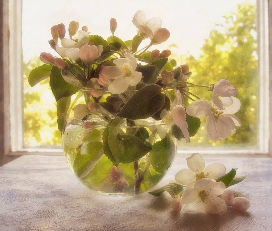 , ТАТЬЯНА ЗАХАРОВА