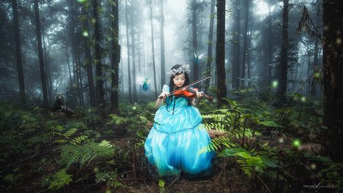 in forest