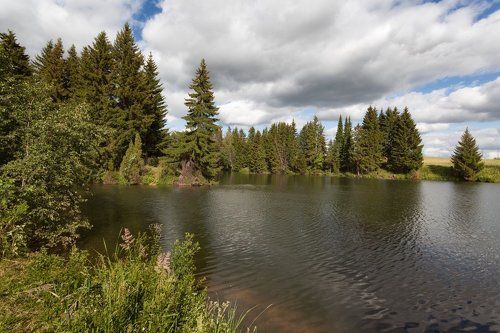 Уголок лесного озера