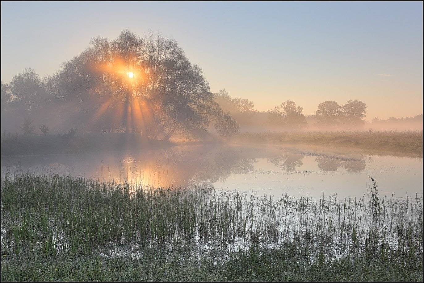 , Михаил (mgk)