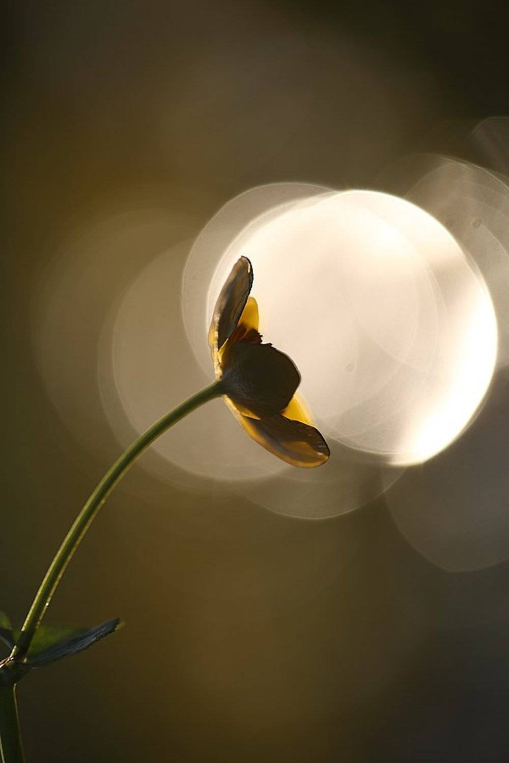 , Сергей Таланов