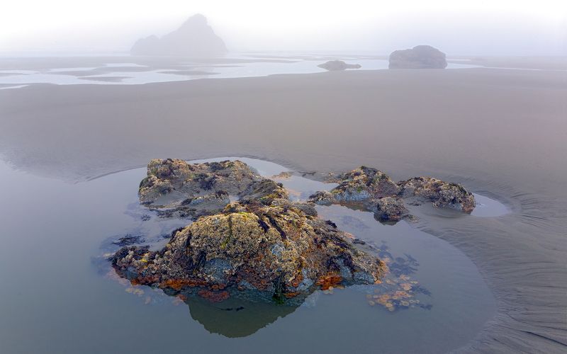 Near Cape Sebastian фото превью