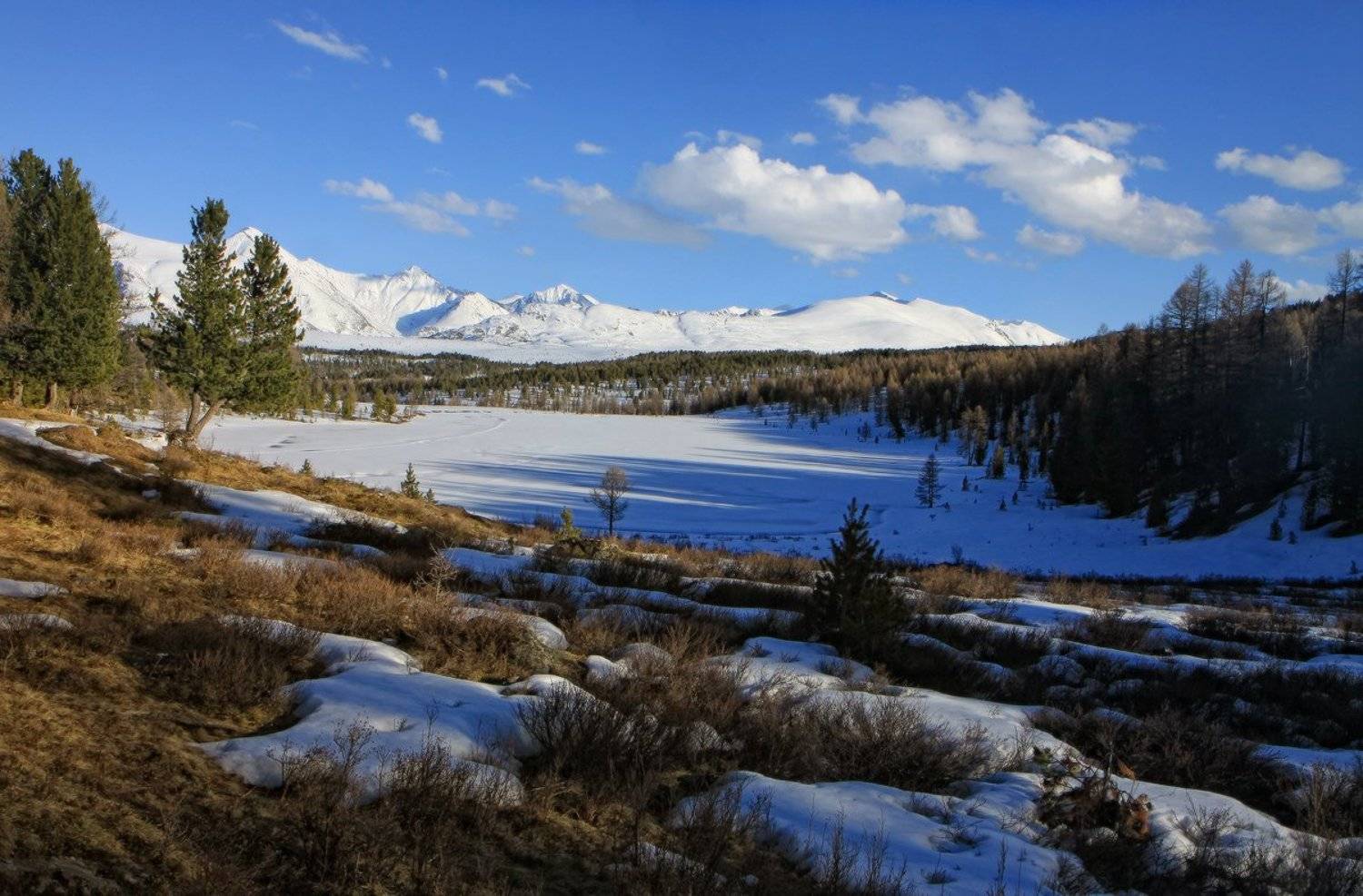 алтай, горный алтай, улаганский перевал, весна, Галина Хвостенко