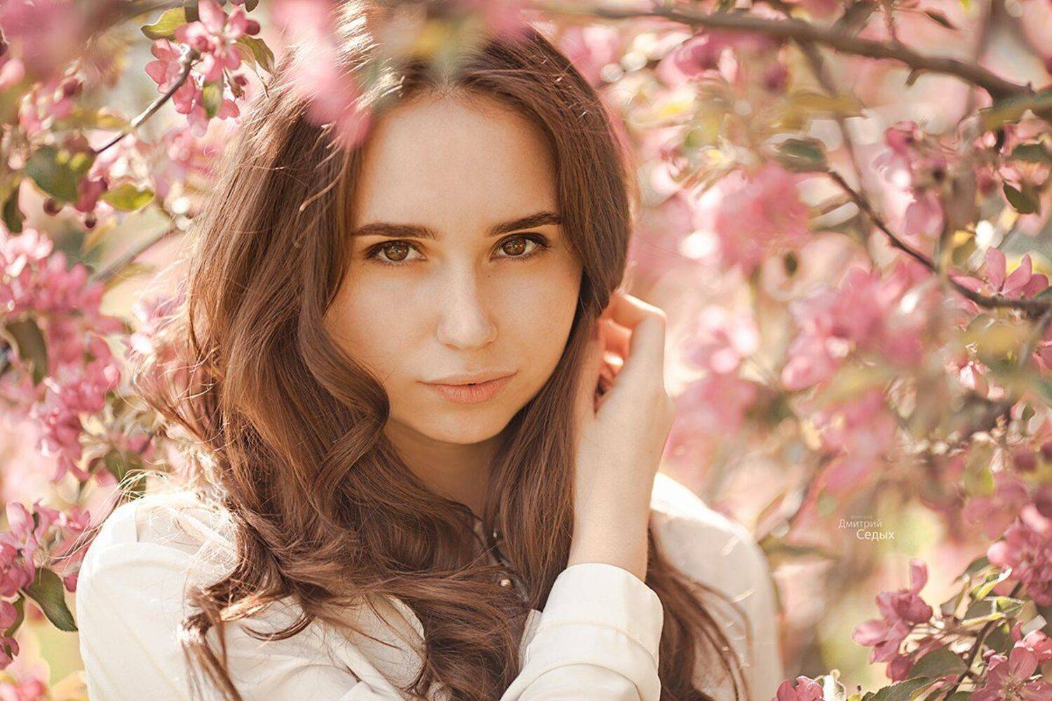 , Седых Дмитрий