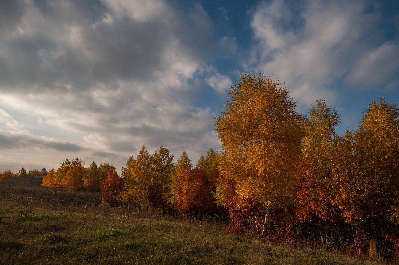 , Володимир Карчевський