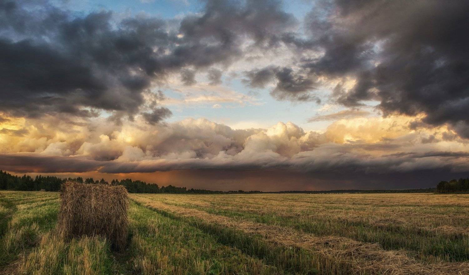 , Курдюков Михаил