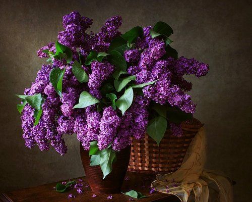 Натюрморт с букетом сирени