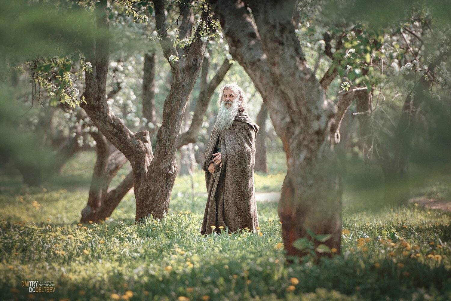 #яблони #коломенское #старец #лес #портрет #прогулка #борода #толстой #персонаж, Дмитрий Додельцев