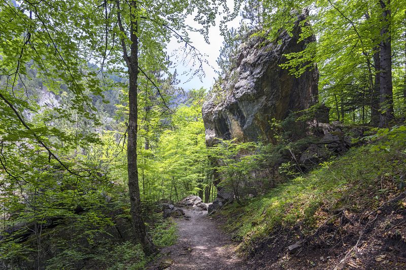 The Passage фото превью