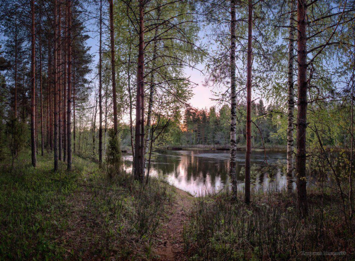 , Хохряков Николай