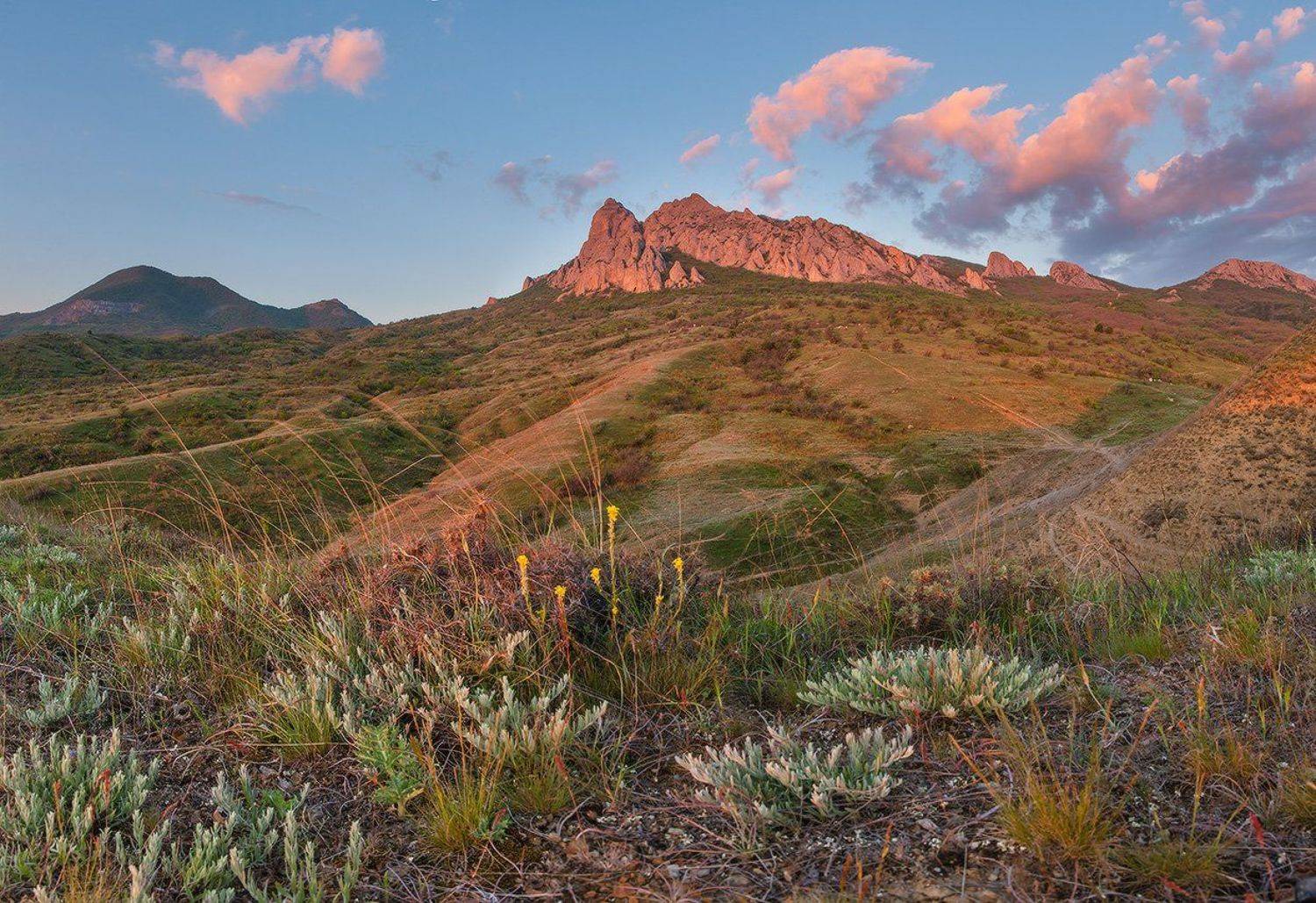 , Николай Мысливцев