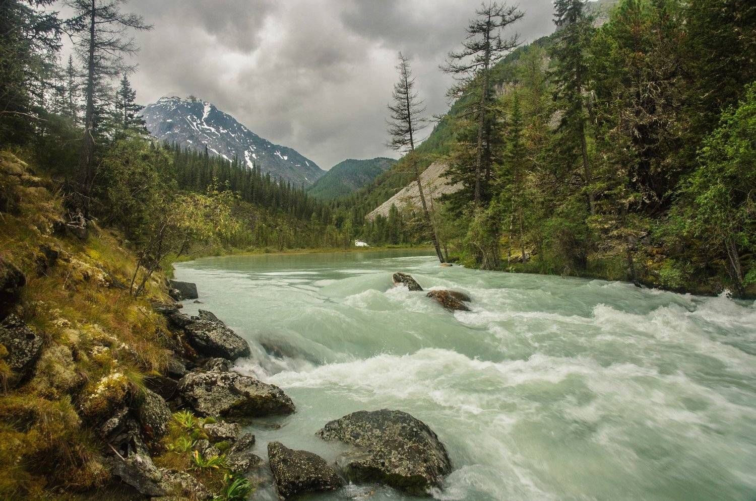 , Алексей Кретов