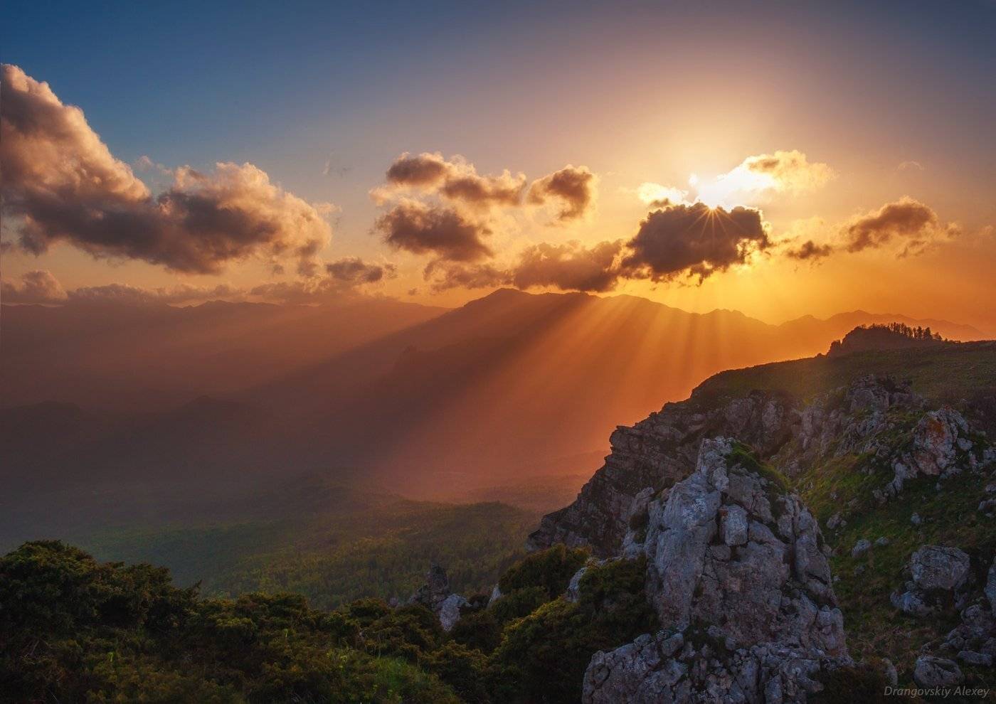 , Алексей Дранговский