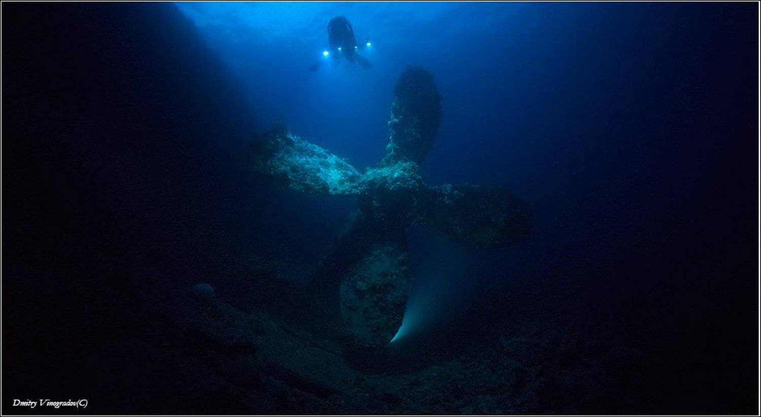 , Дмитрий Виноградов