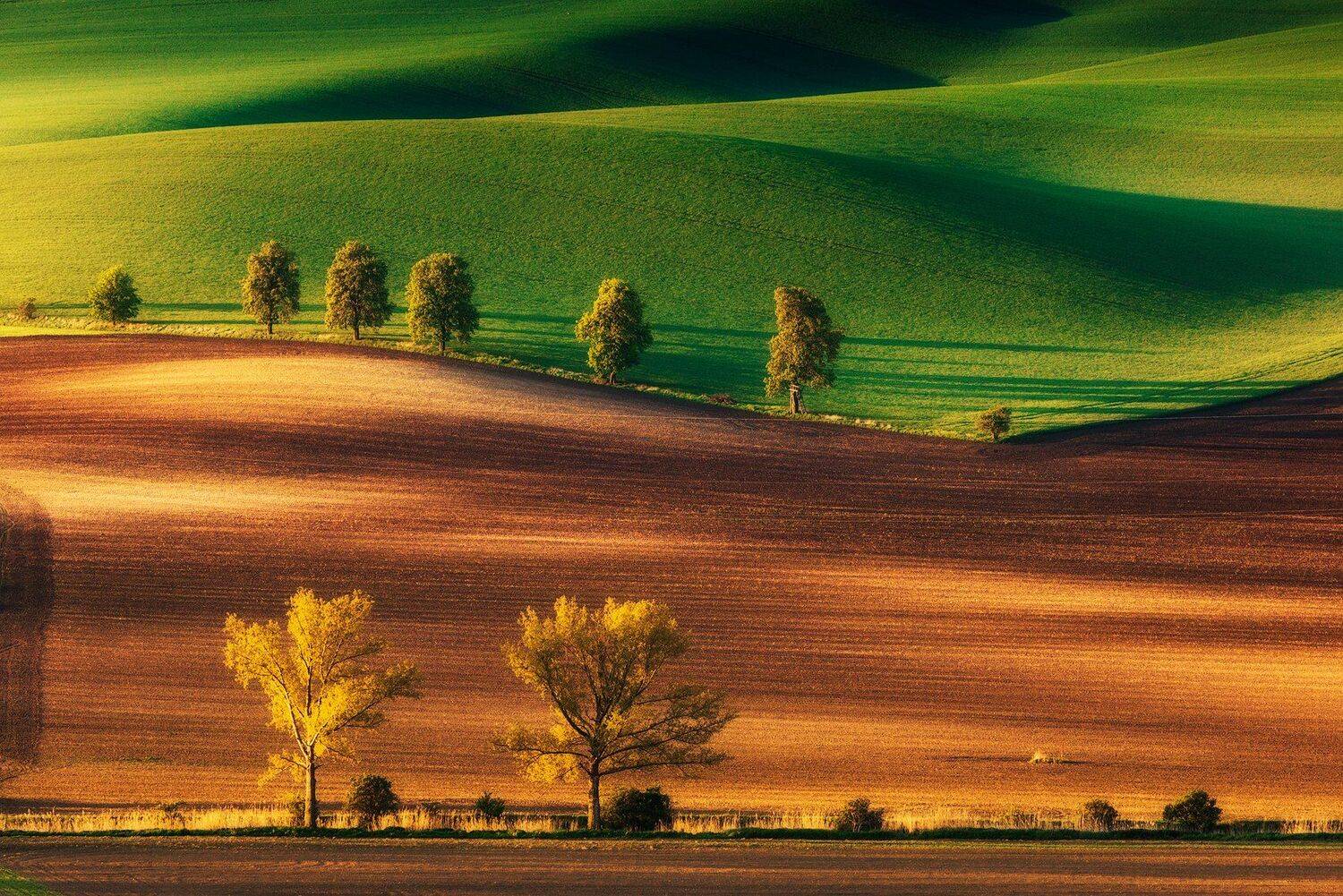 Moravia, Uchorczak Pawel, Pawel Uchorczak