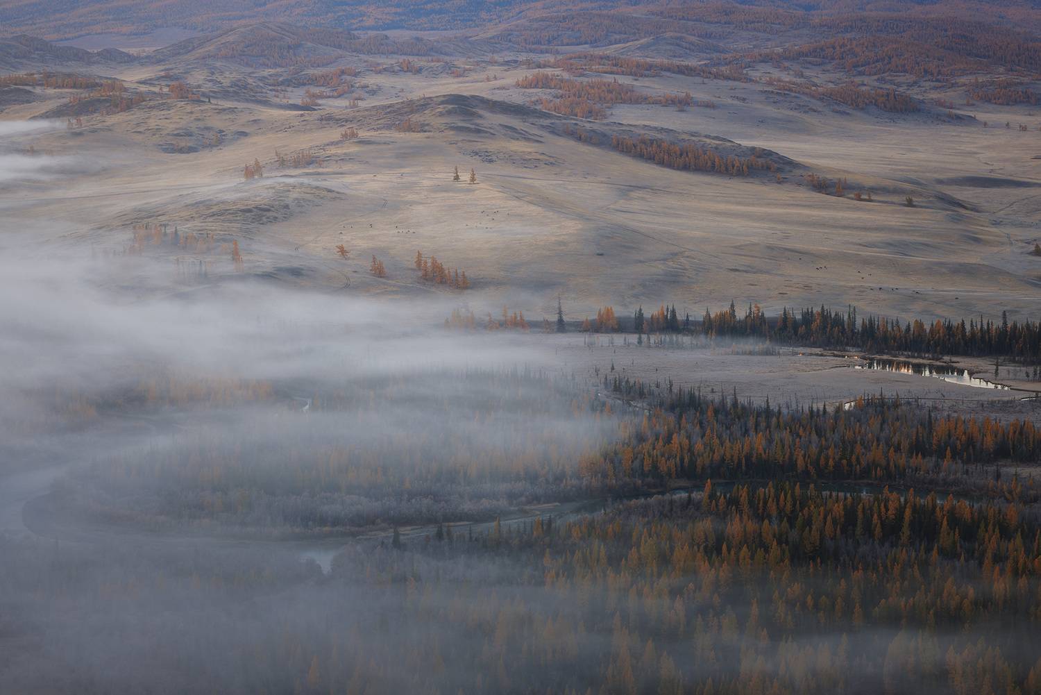 , Морозов Сергей