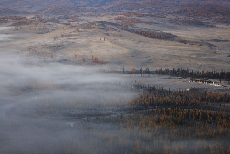 Курайская степь фото превью