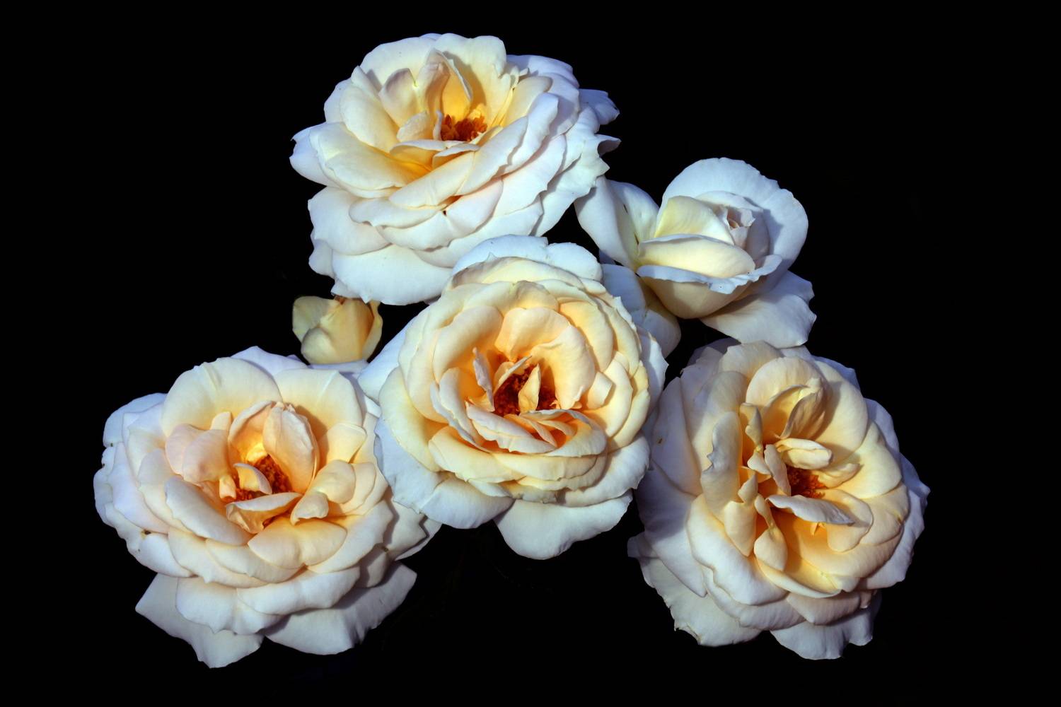 , Бибичков Михаил