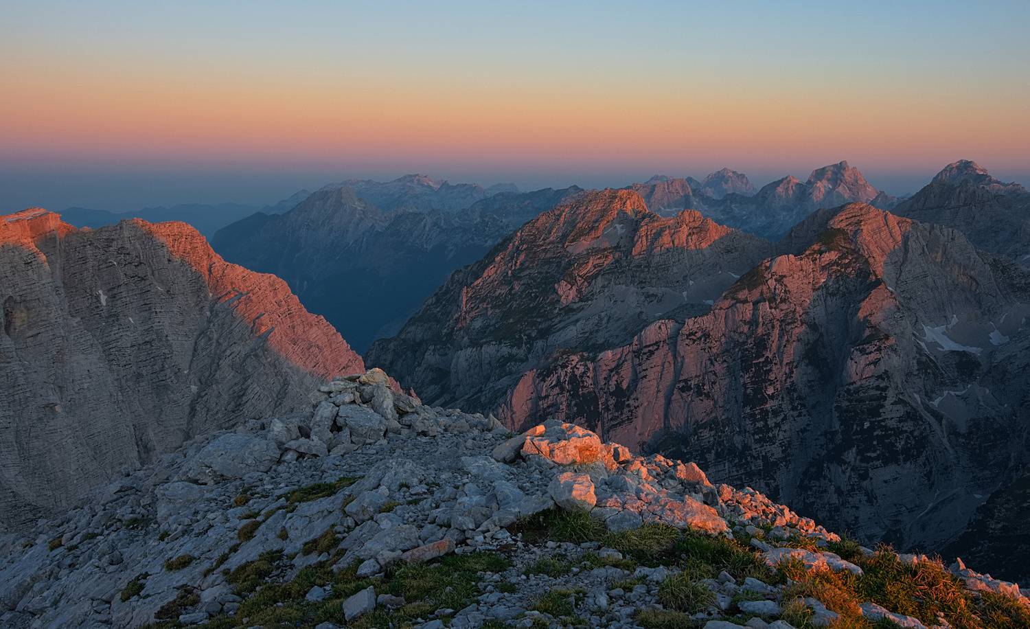 , Wojciech Tarnowski