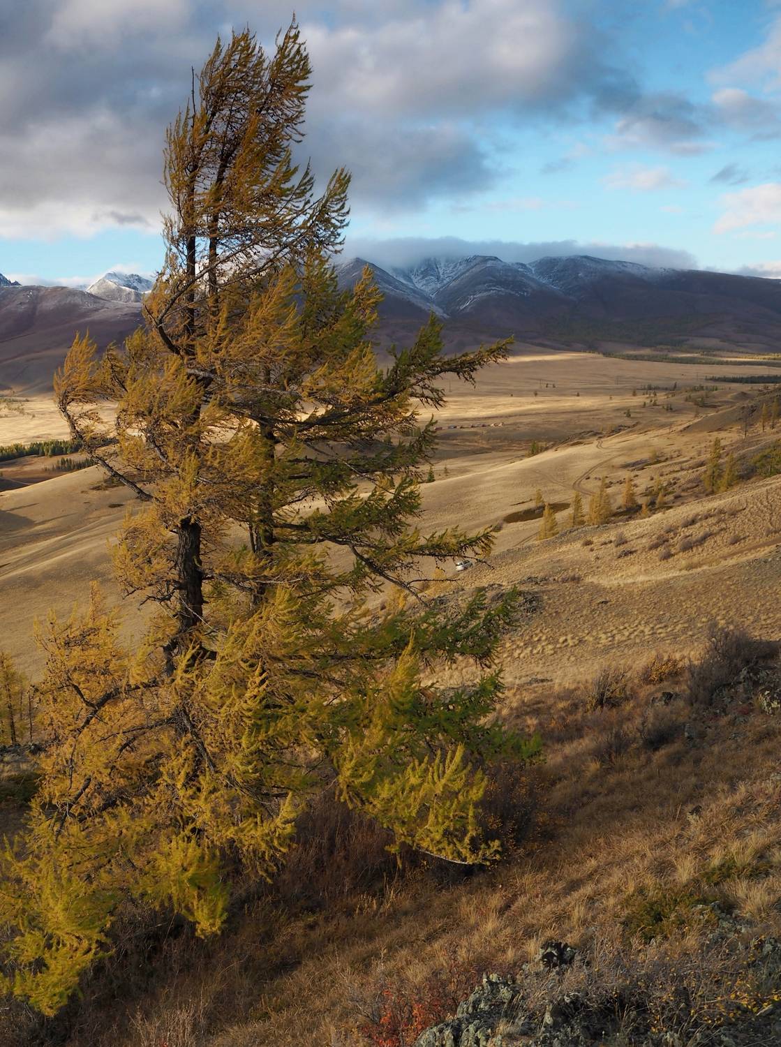 , Евгений Яковлев