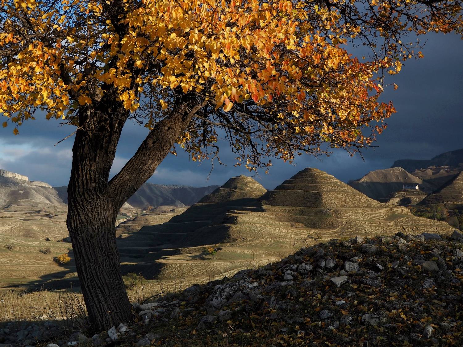 , Евгений Яковлев