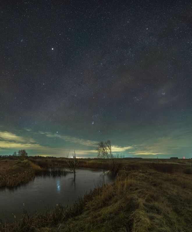 Безмолвие старого дерева застывшей звёздной ночью фото превью