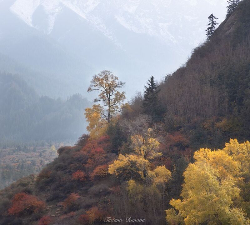 Осенняя живопись Китая фото превью