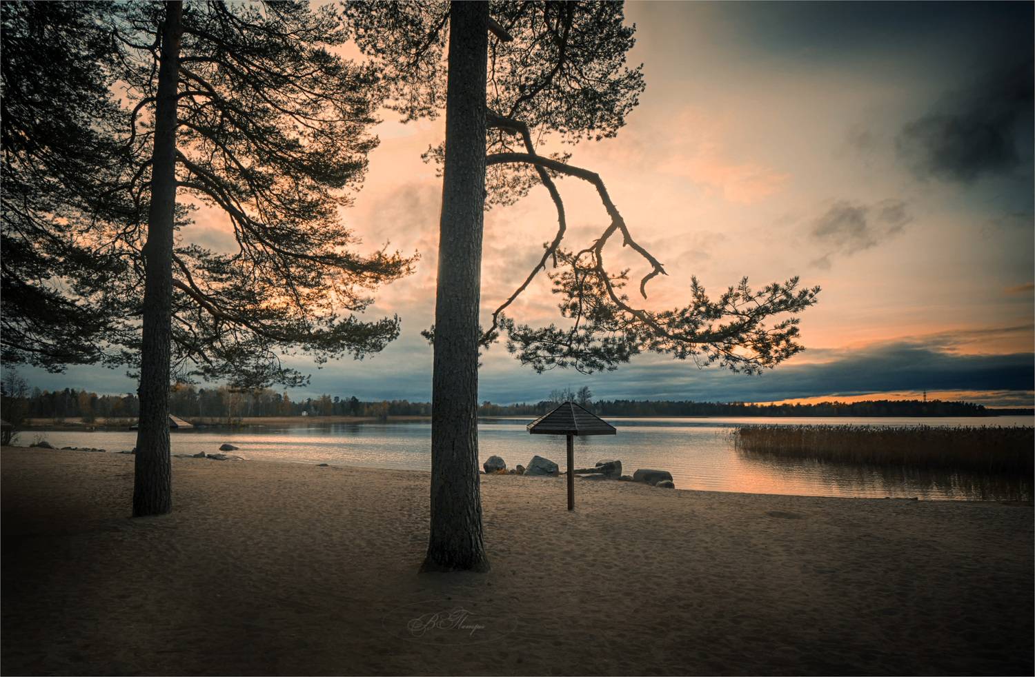 пляж сосны озеро закат, Вера Петри