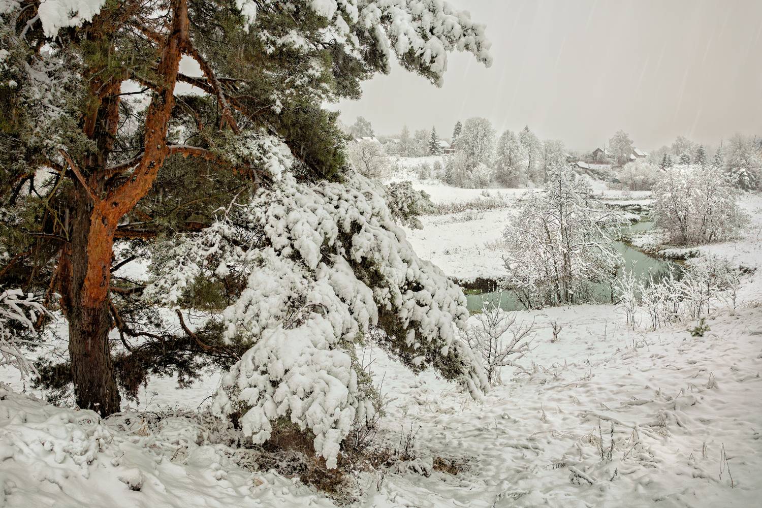 , Евгений Ерохин