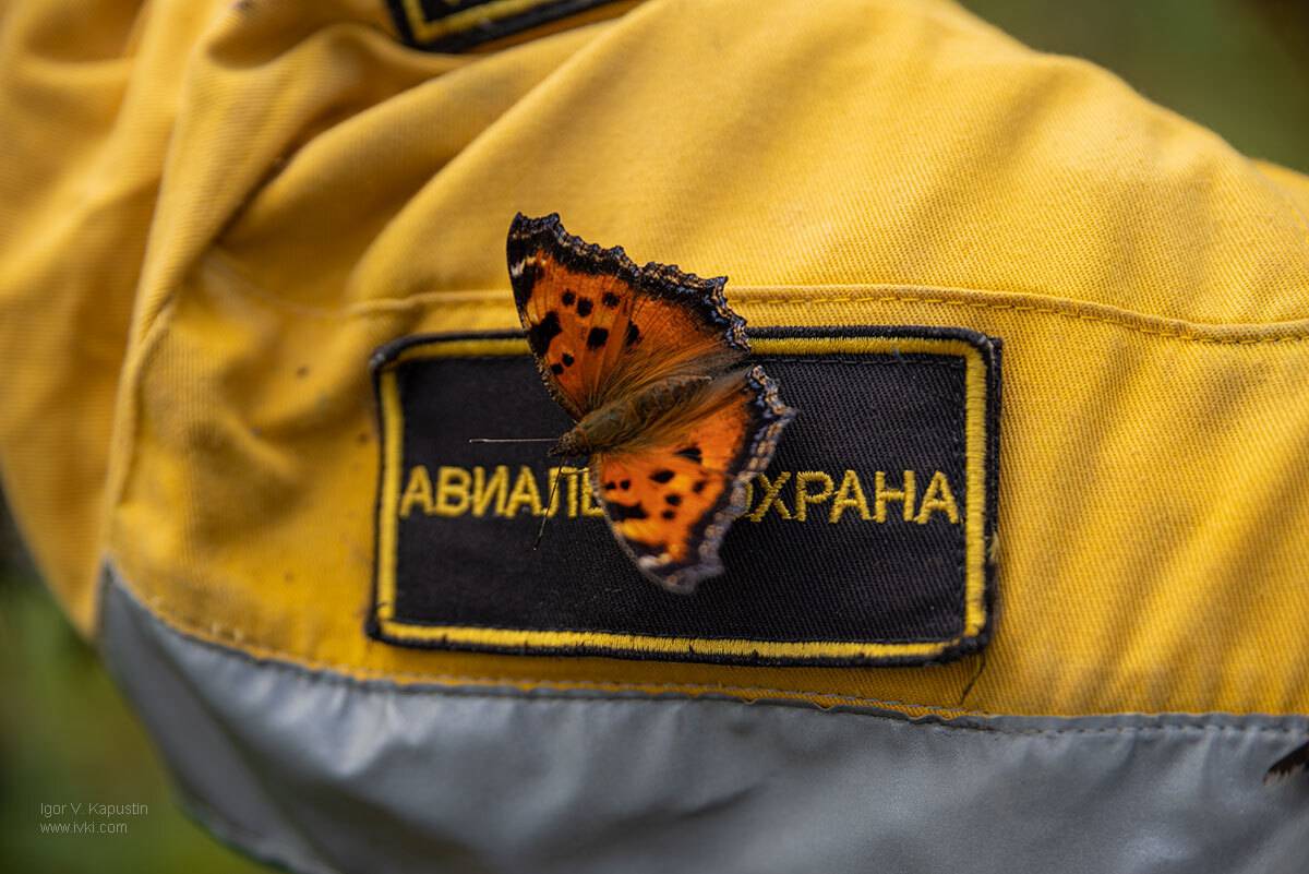 , Капустин Игорь