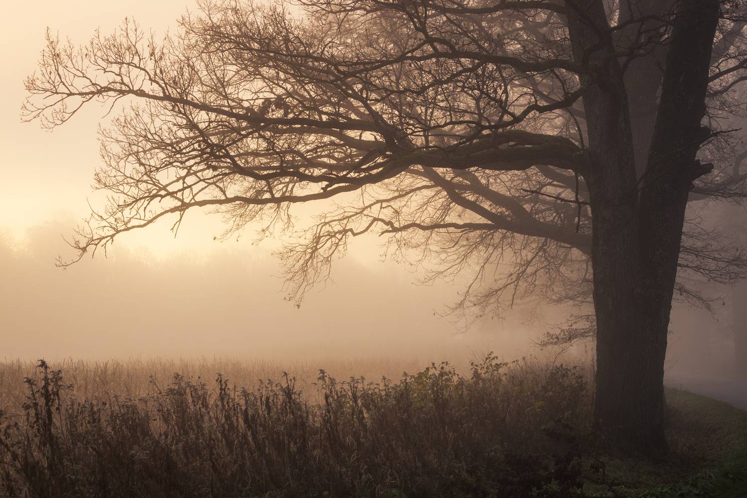 ,  Mirosław Pruchnicki