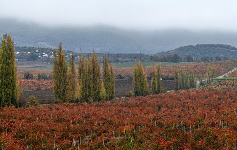 крым, золотая балка, севастополь, крымский пейзаж, пейзаж, крымская осень,  landscape, crimea, autumn Золотая балка фото превью