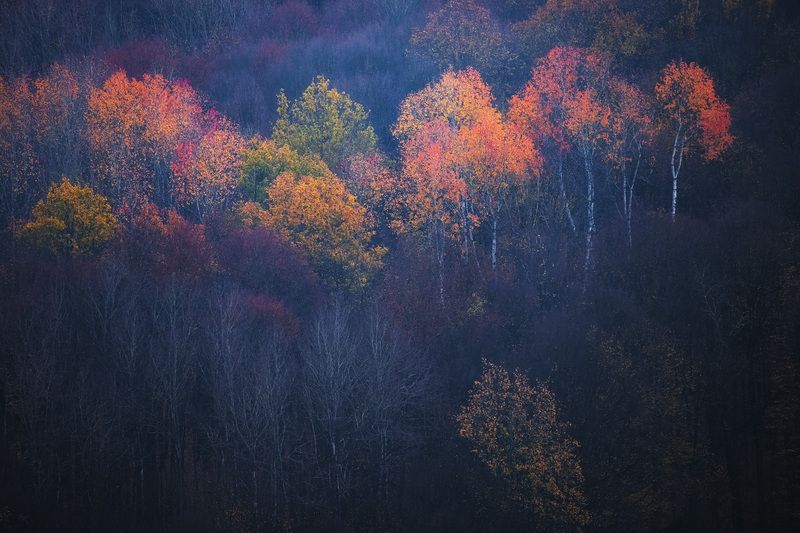 2025 фото превью