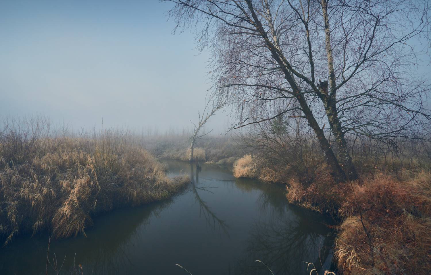 , Роман Лушпа