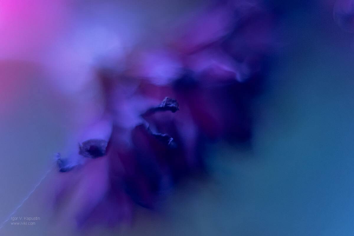 , Капустин Игорь