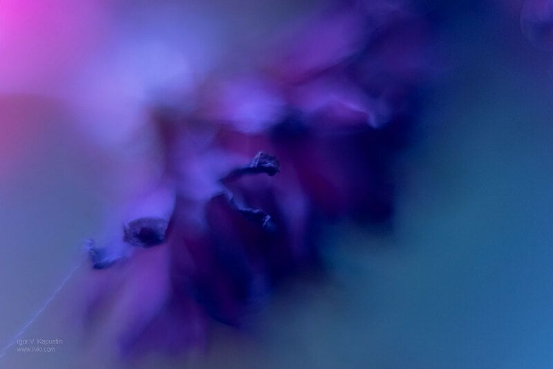 *** фото превью