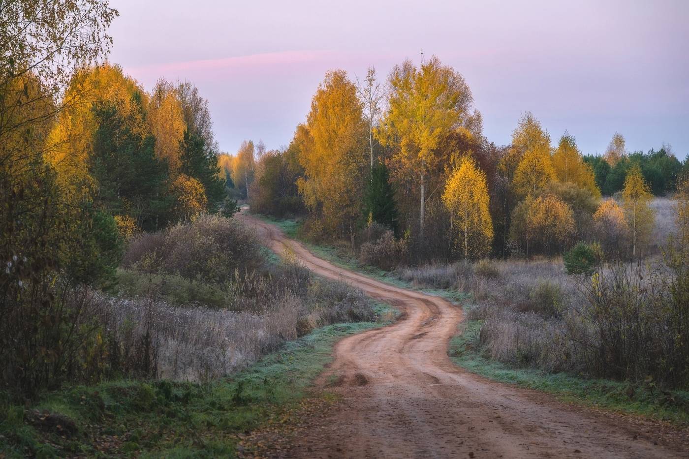 , Михаил Устюжанин