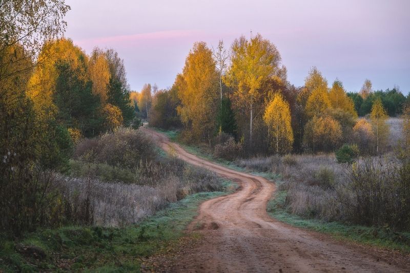 Дорога в осенний лес фото превью