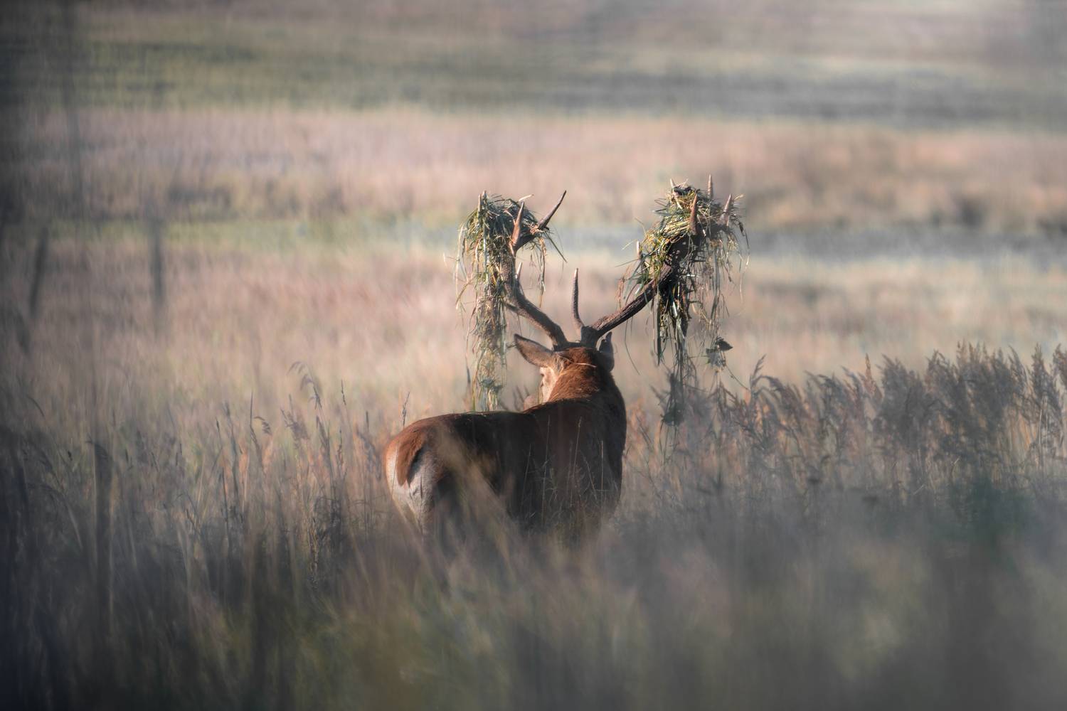 , Фабричный Роман
