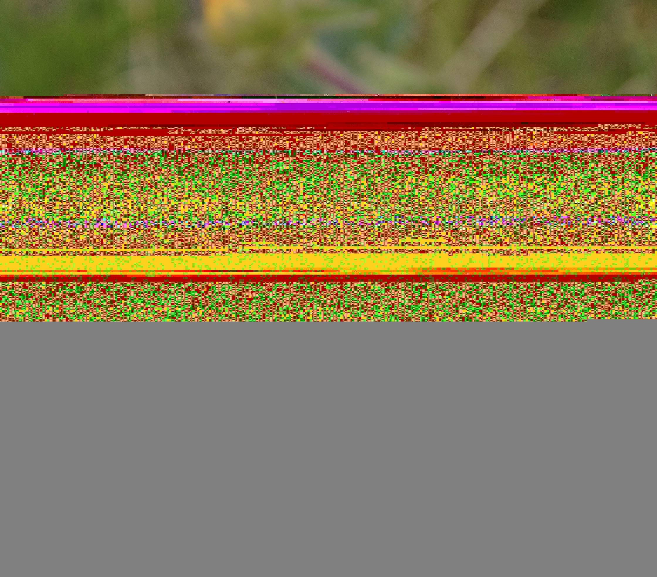 , Шустиков Дмитрий