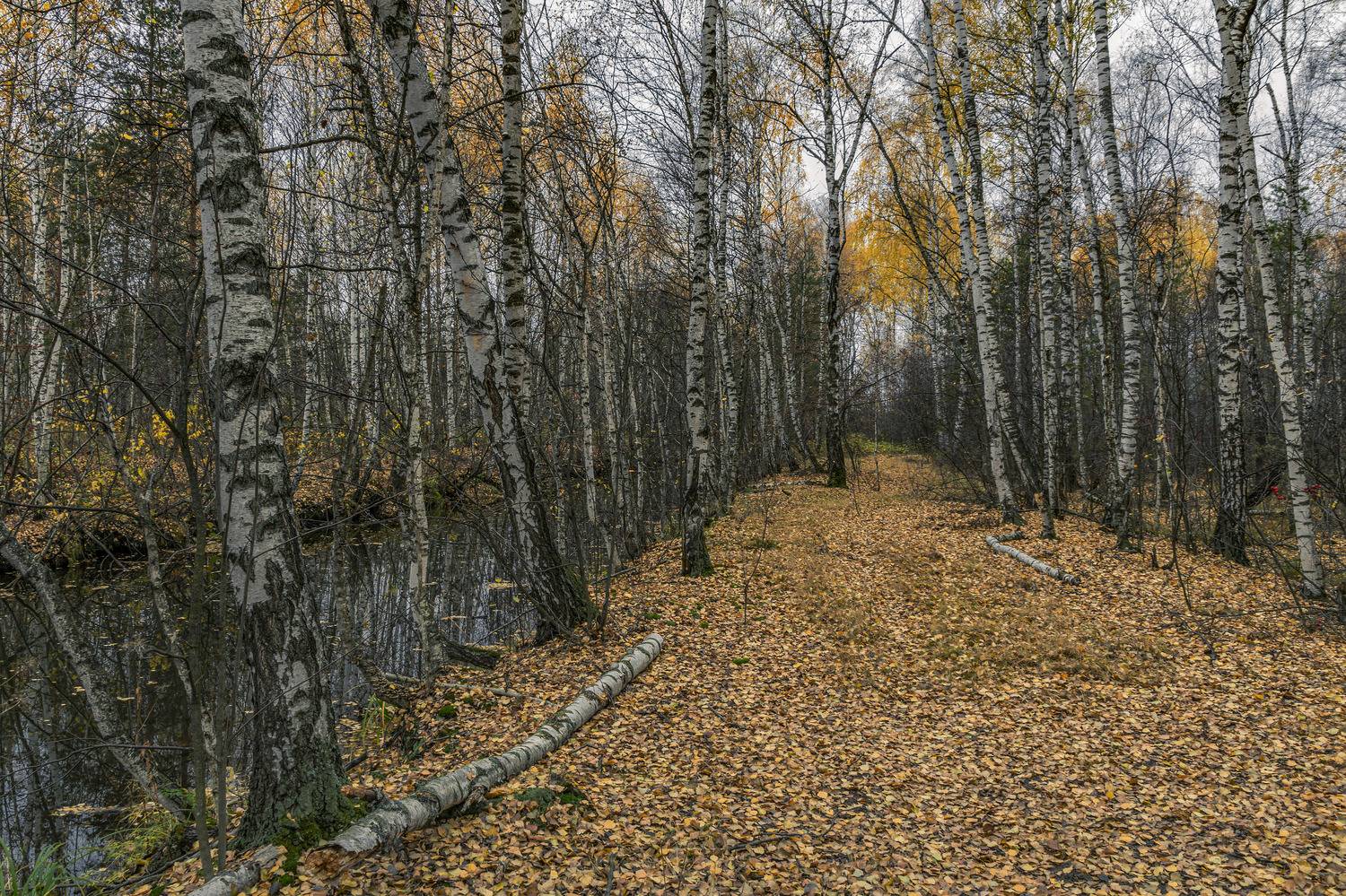 , Шитов Александр