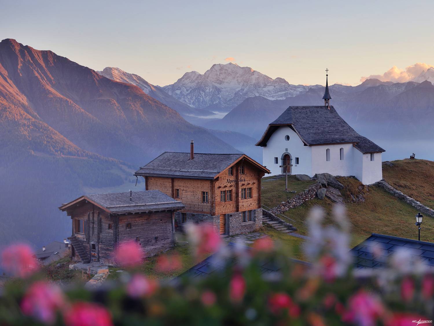 swiss, Матвеев Николай