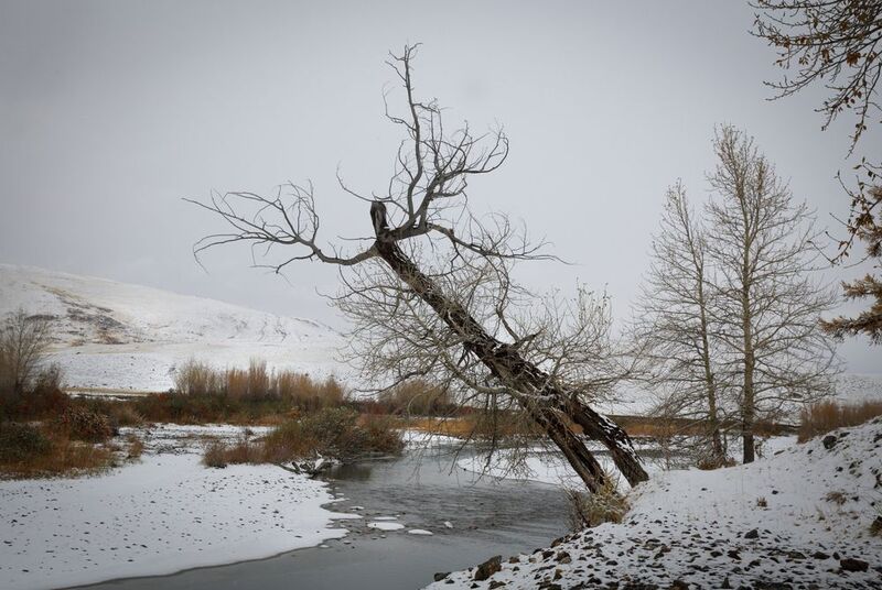 Чаган_Узун фото превью