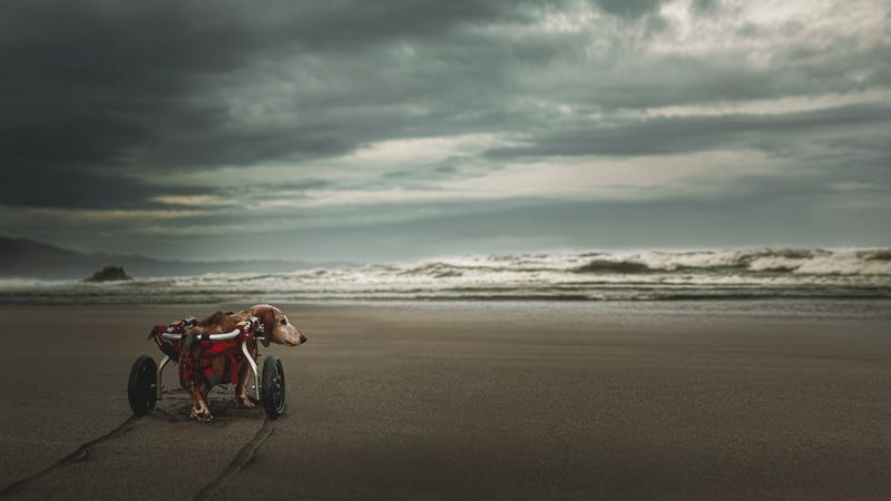 Достучаться до небес фото превью