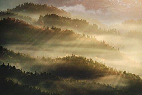 Morning rays