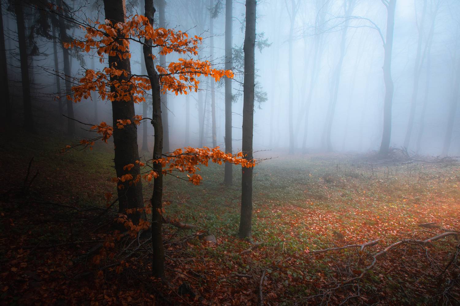 , Пенов Пламен